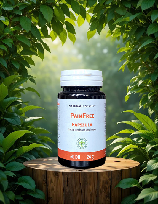 PainFree Fájdalomcsillapító Kapszula (60 db)